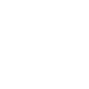 Logo Sottec (Blanc)